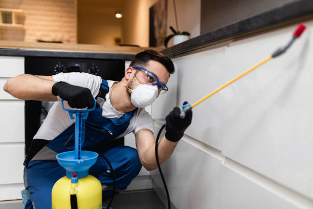 Best Pest Inspection Near Me  in Conesus Lake, NY