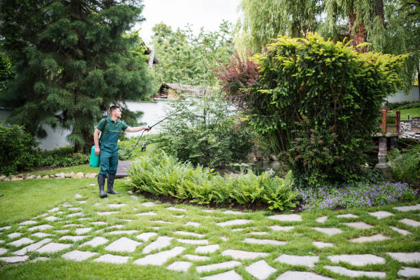 Best Ant Control Services  in Conesus Lake, NY