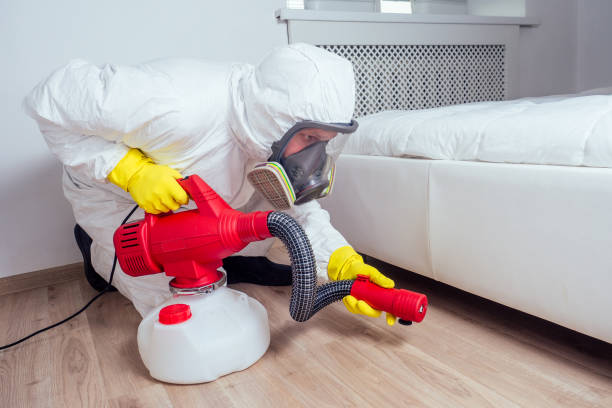 Best Flea Control Services  in Conesus Lake, NY