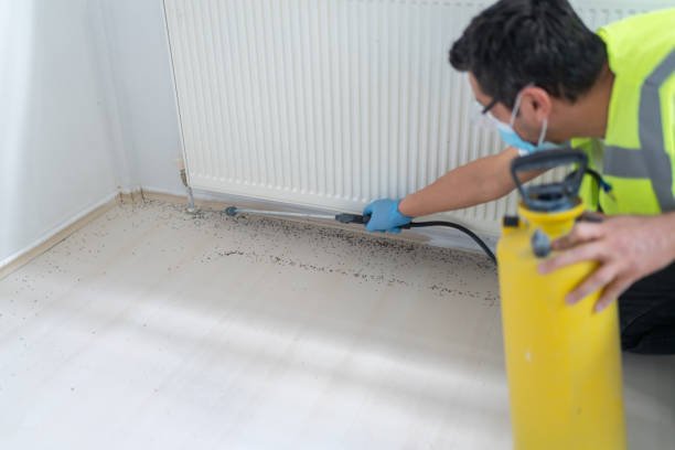 Best Affordable Pest Control Services  in Conesus Lake, NY