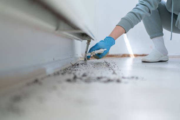 Best Pest Prevention Services  in Conesus Lake, NY